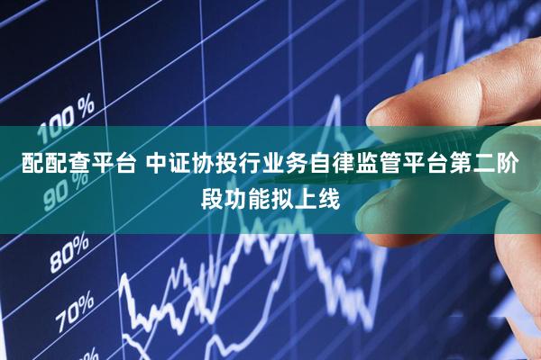 配配查平台 中证协投行业务自律监管平台第二阶段功能拟上线